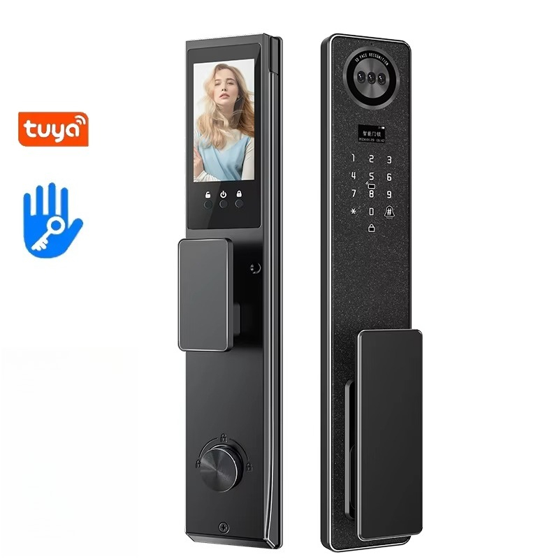 Tuya WiFi 스마트 도어 잠금 장치, 가정용 생체 - Door Lock 리뷰 및 가격