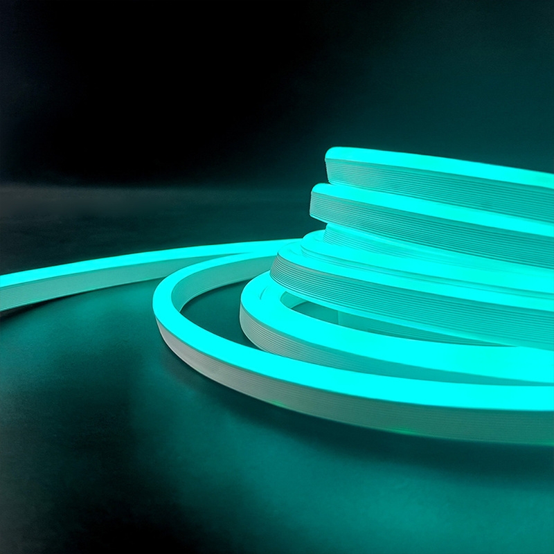 고휘도 RGB LED 네온 스트립 조명, 방수 기능,  - Led Strip Lights 리뷰 및 가격